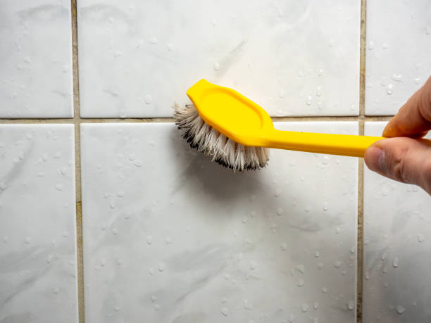 Best Black Mold Remediation in Dunean, SC